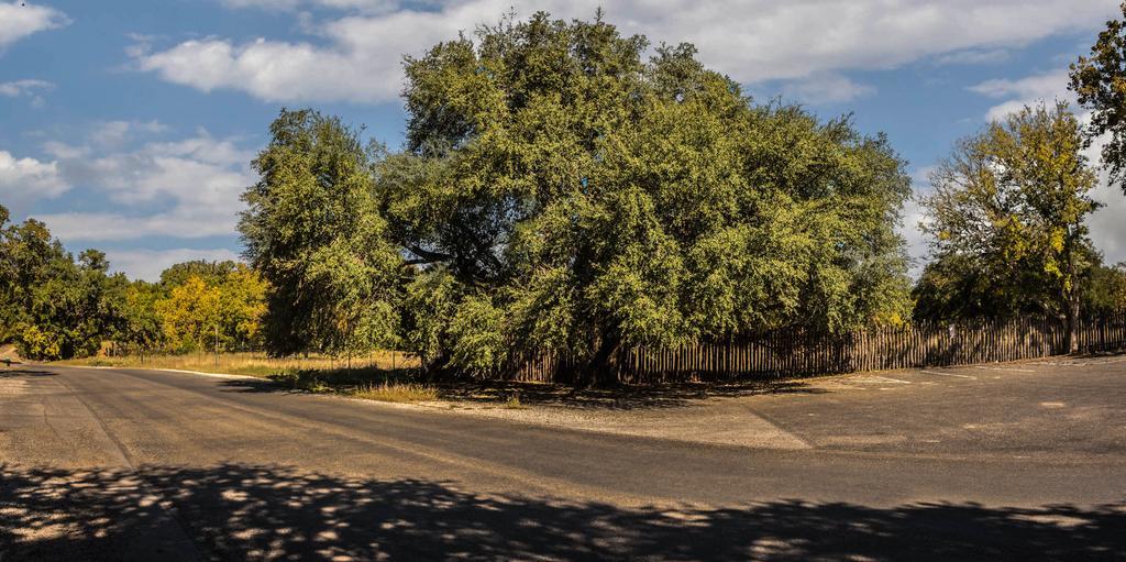 Cypress Fairway Village Wimberley Dış mekan fotoğraf